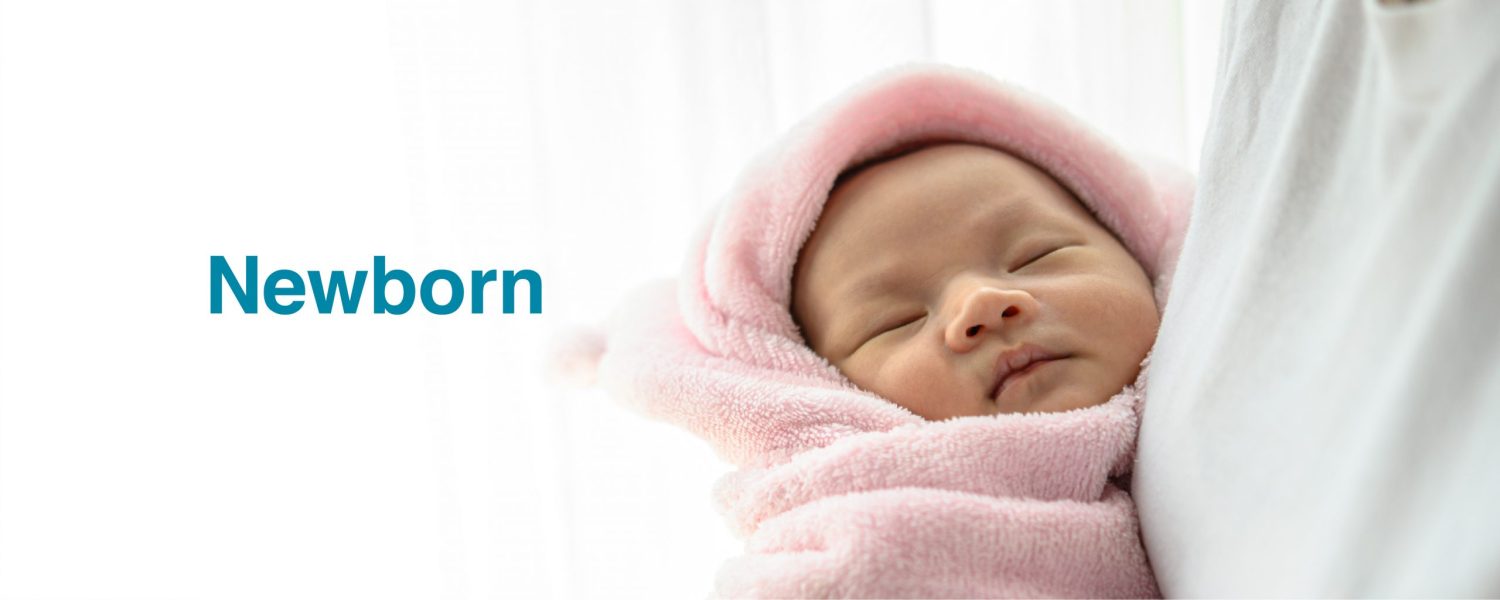 Banner website_baru-01
